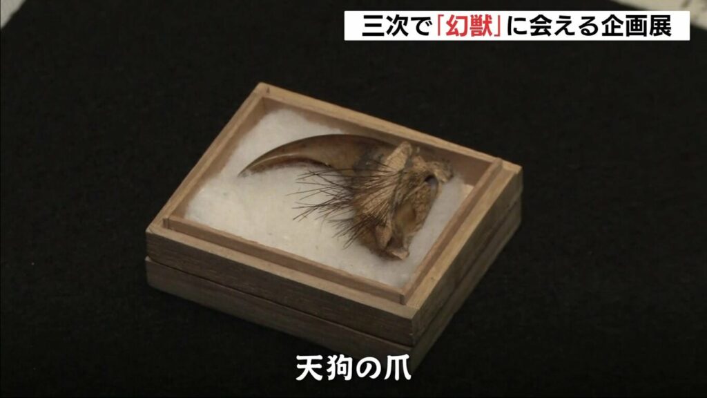 天狗の爪に人魚のミイラ…そしてヒバゴンも　幻獣の世界へ誘う企画展　「もののけミュージアム」で開催