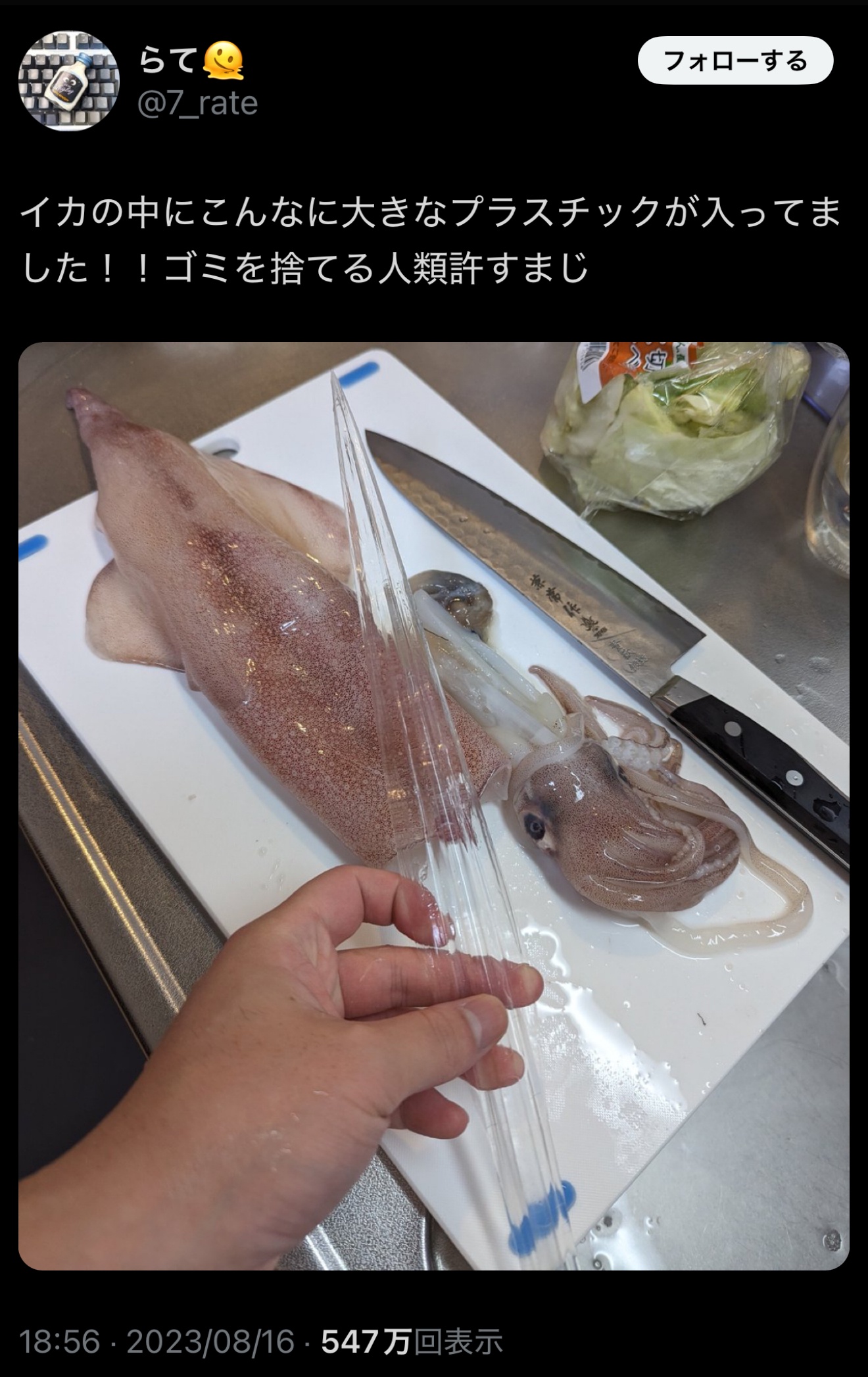 【悲報】イカの中から特大プラスチックが見つかり炎上