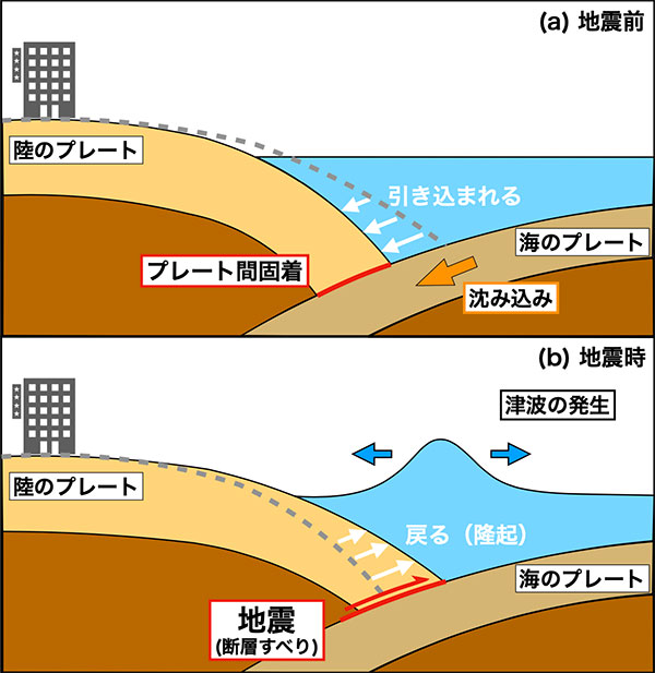 【GPS観測】北海道沖 千島海溝 巨大地震起こしうる程度までひずみ蓄積か
