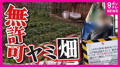 【関西】「年いったらすることない」不法耕作者が河川敷で作物育てる『ヤミ畑』国交省の指導にも応じず