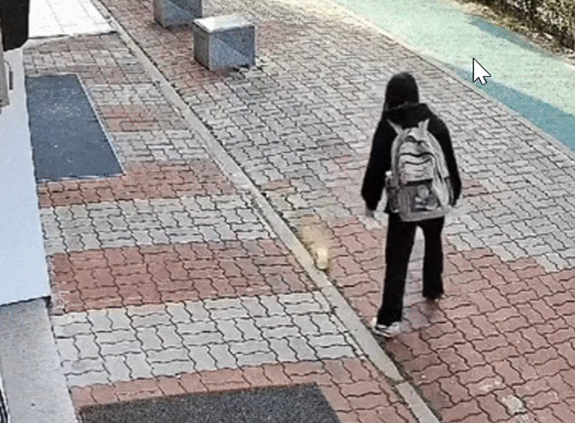 【韓国】失われたマナー…路上でラーメン、食べてはポイ捨て、女子学生風の若者に非難殺到