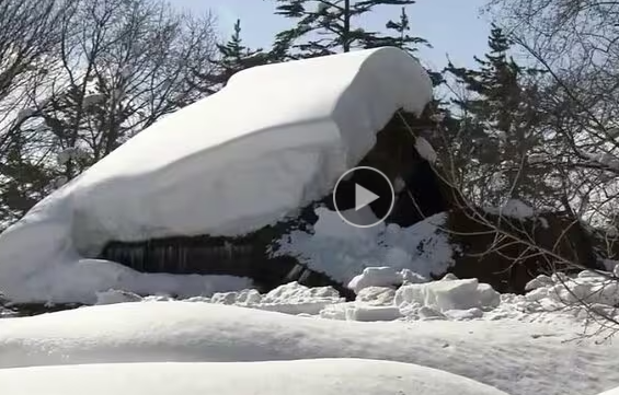【詳報】今季は1度も屋根の雪下ろしが行われず…　江戸時代末期の青森県を代表する建物が雪の重さで崩れる　2002年に県重宝指定の「旧坪田家住宅」