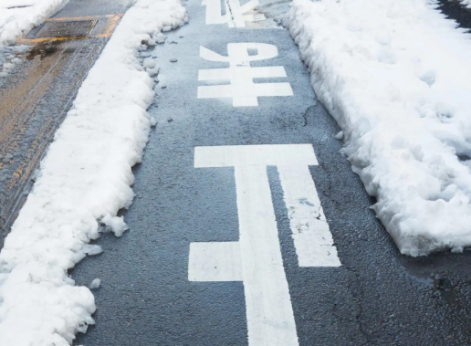 【明日】関東甲信で大雪の恐れ、食料品買い占め推奨へ