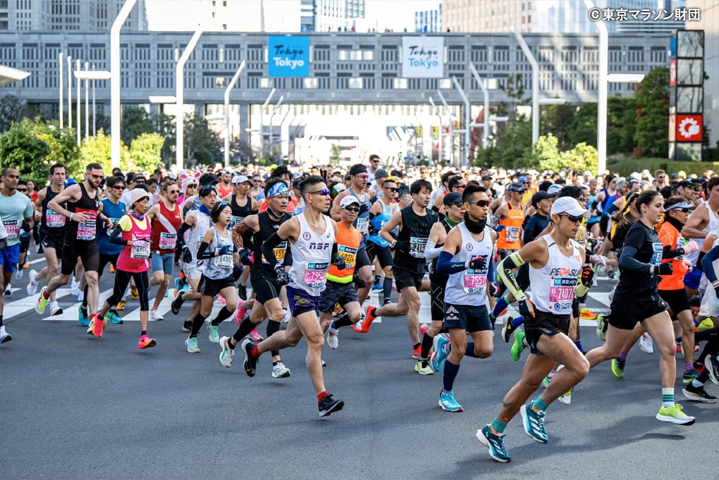 【東京マラソン】3月2日(日)開催 今年の大会は暑さ・脱水症に注意　平年に比べて気温がかなり高い予報