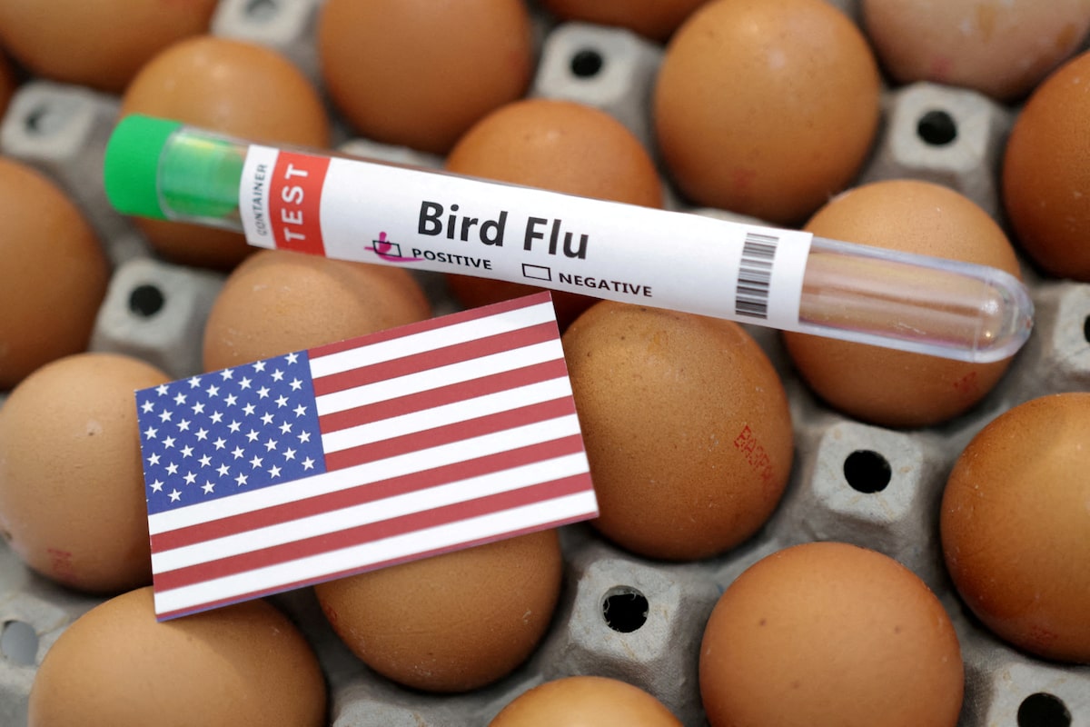 【鶏卵高騰】米国、デンマークなど欧州諸国にも鶏卵輸出を要請→デンマーク側「検討はするが、欧州に余ってる鶏卵は無い」