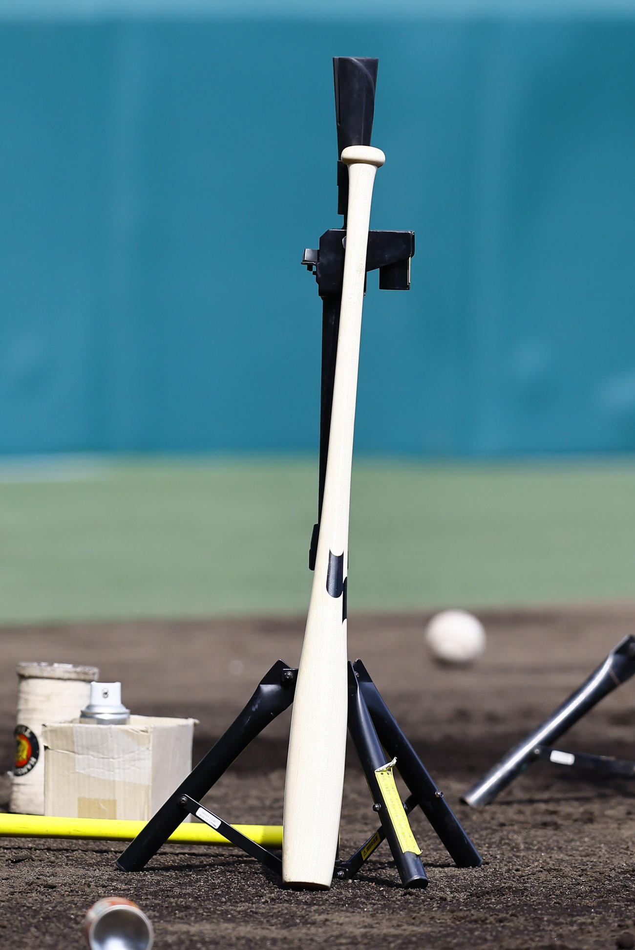 【プロ野球】「魚雷バット」11日から国内で即日容認　プロ野球規則委員会が使用容認で12球団に通達