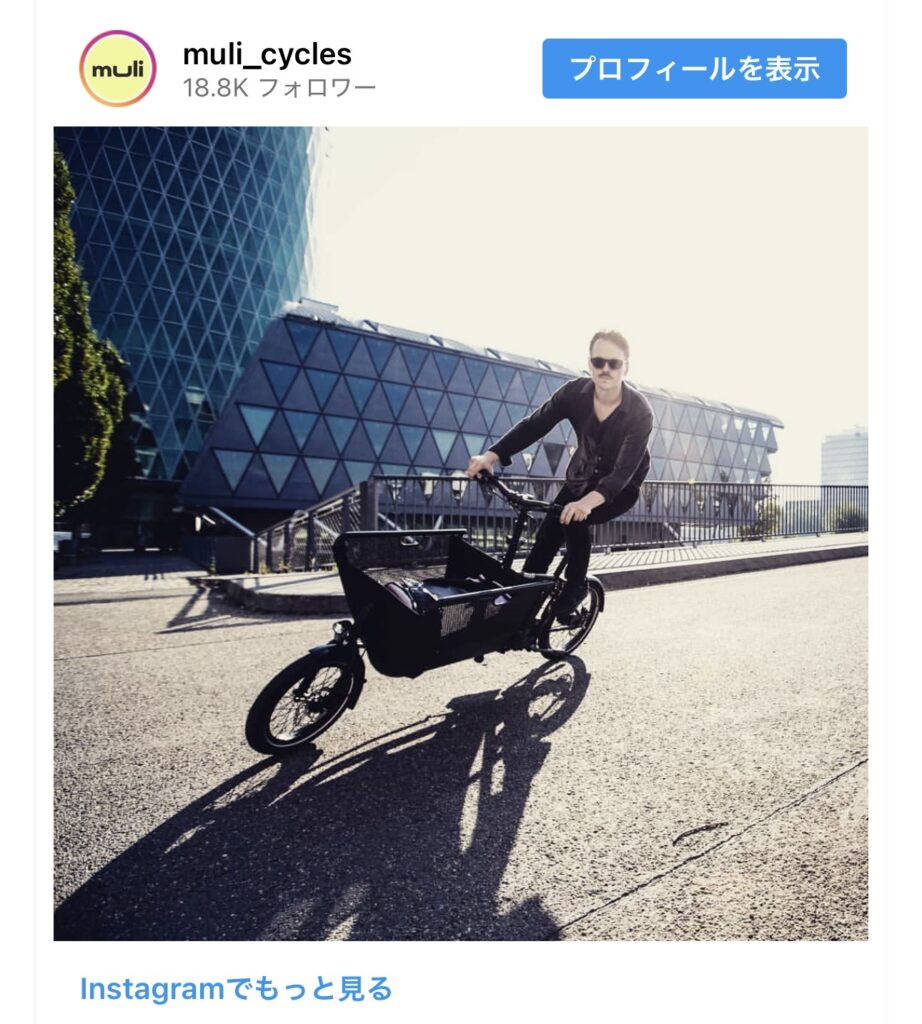 ヨーロッパで一般的なこのタイプの自転車、日本に1台もないwww