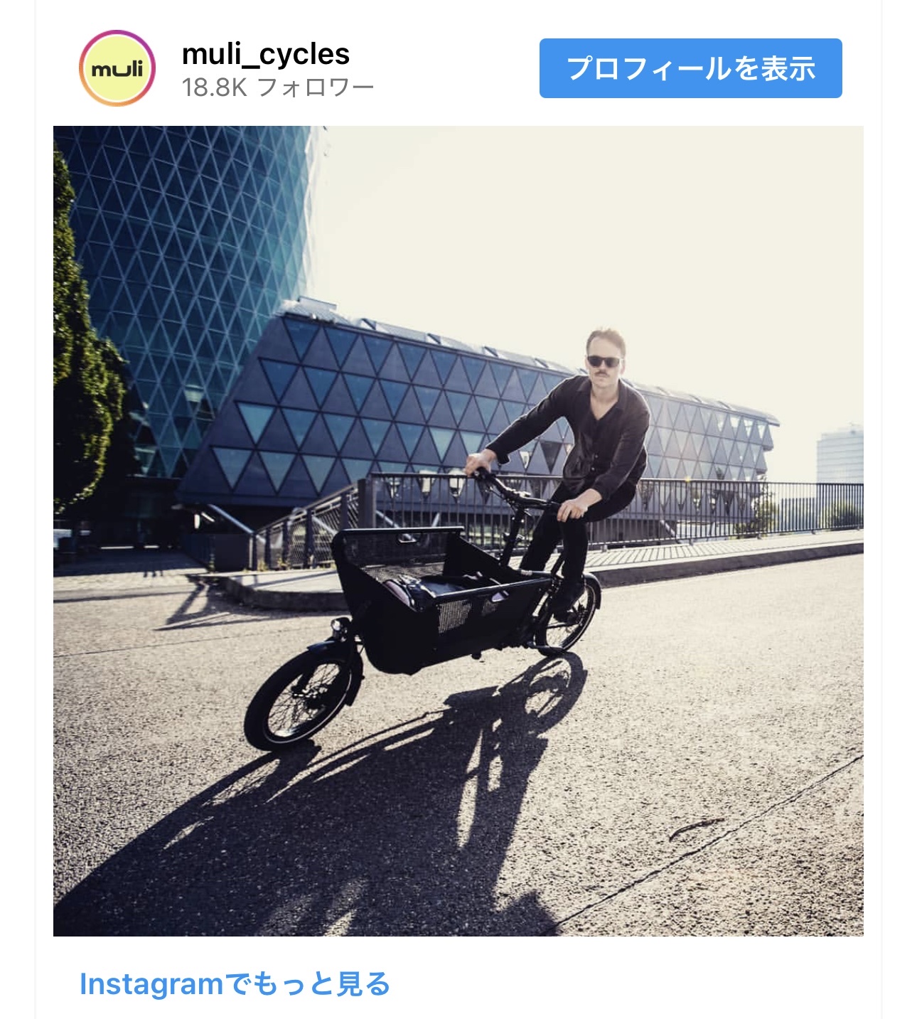 ヨーロッパで一般的なこのタイプの自転車、日本に1台もないwww
