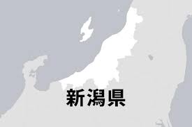 【2年前から？】20歳記念の15センチ定規、2ミリ短い！新潟・上越市の悲劇…