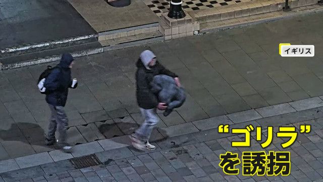 「ここにゴリラがいるのか？」“ゴリラ”誘拐する2人組…防犯カメラに犯行の一部始終が 警察が自宅捜索・逮捕され「オリ」の中へ イギリス