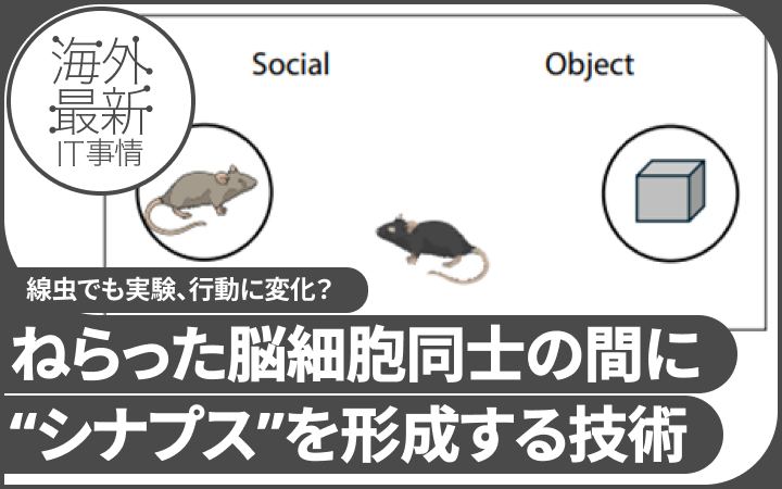 【研究】魚から作った“電気シナプス”をマウスの脳に配置。社交性、ストレス耐性が向上？
