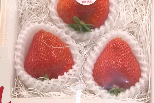 【農産】1粒4000円のイチゴ　ドバイへ　まるで桃のような味わい　夫婦が開発
