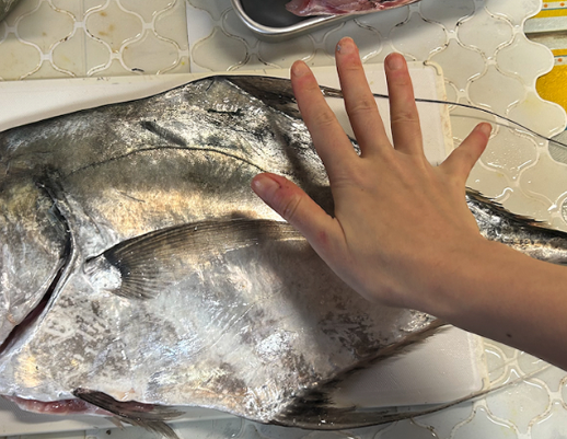 最近謎の魚の切り身が増えたよな？