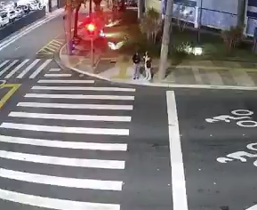 【悲報】信号無視女さん、消滅する…
