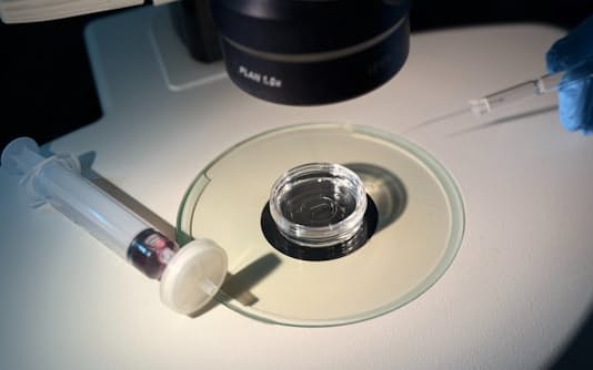 体外受精の失敗、ガラスに含まれる亜鉛だった