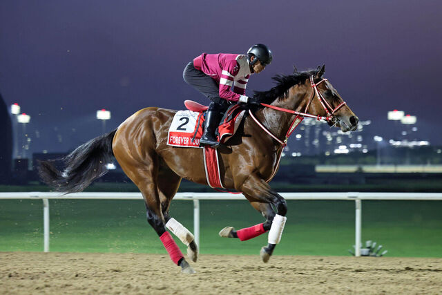 【競馬】1位はフォーエバーヤングで変わらず　アジア馬が上位独占　ロンジンワールドベストレースホースランキング
