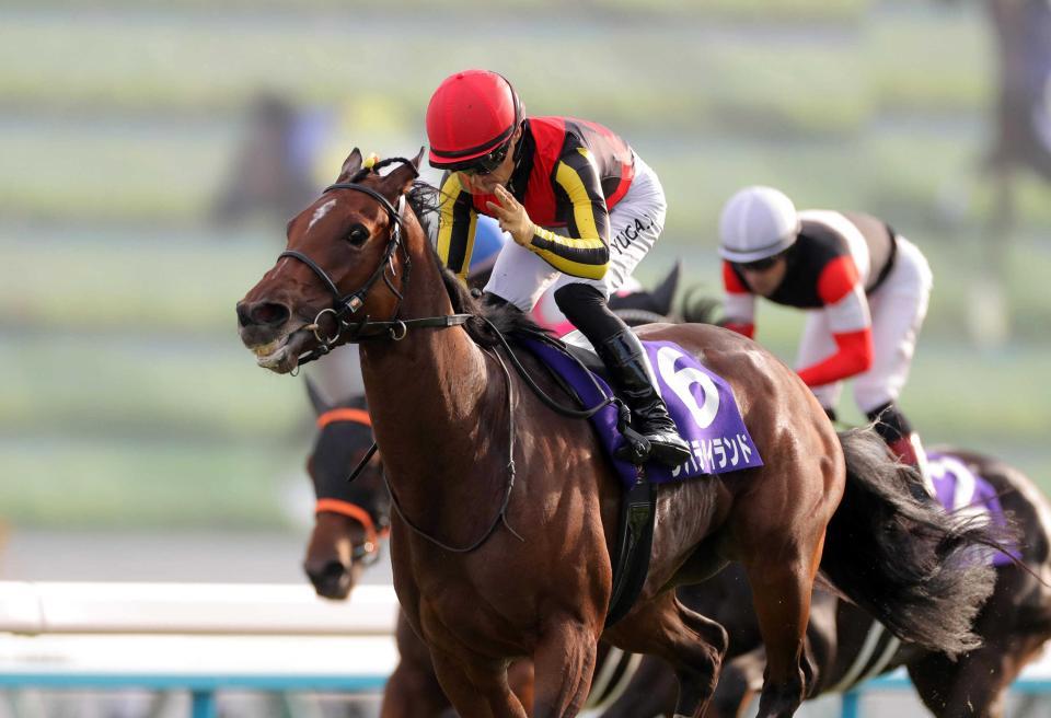【競馬】JRA　リバティアイランドへの献花台・記帳台を設置…5月3日から全国の競馬場、ウインズなどで