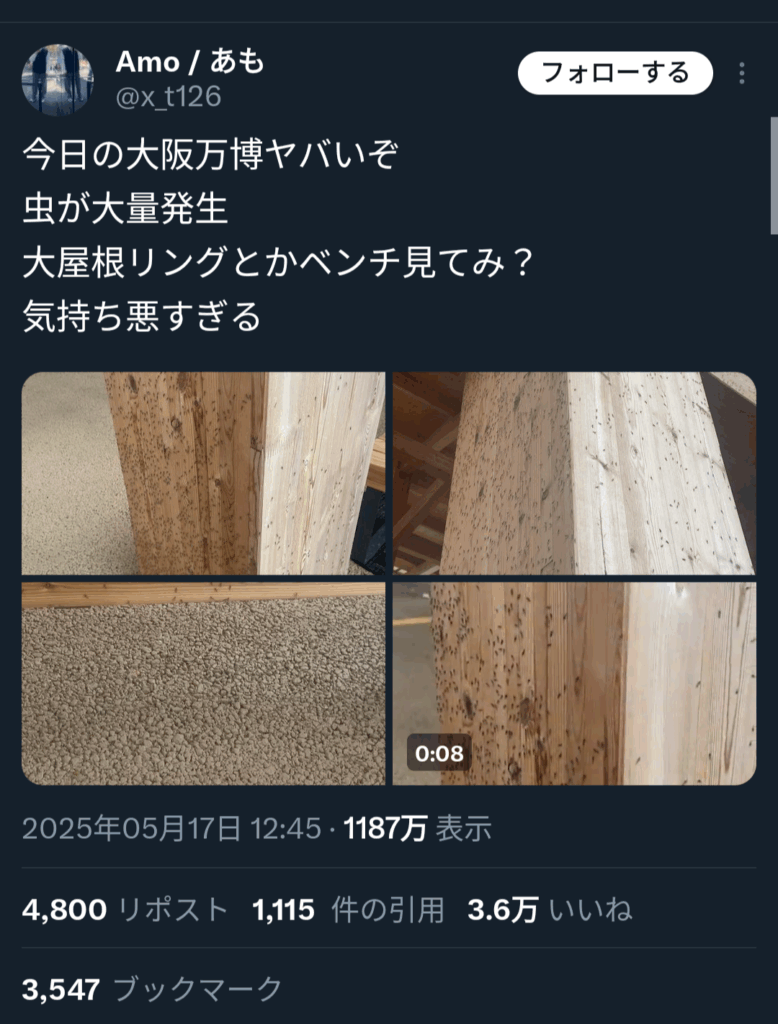 【閲覧注意】万博の木製リング、大量の虫が沸いて巣になってしまう