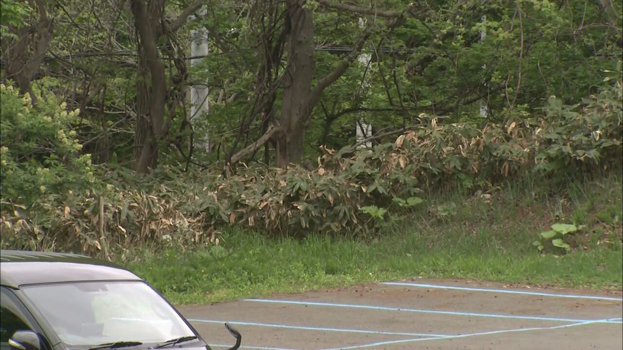 【北海道札幌】サッカー場で子どもの練習後に迎えにきた保護者が“約2ｍのクマ”目撃