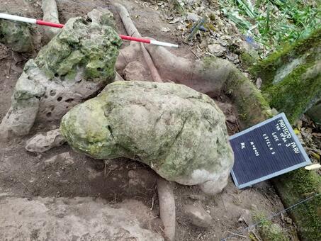 【国際】約3000年前のマヤ文明の都市遺跡発見 グアテマラ