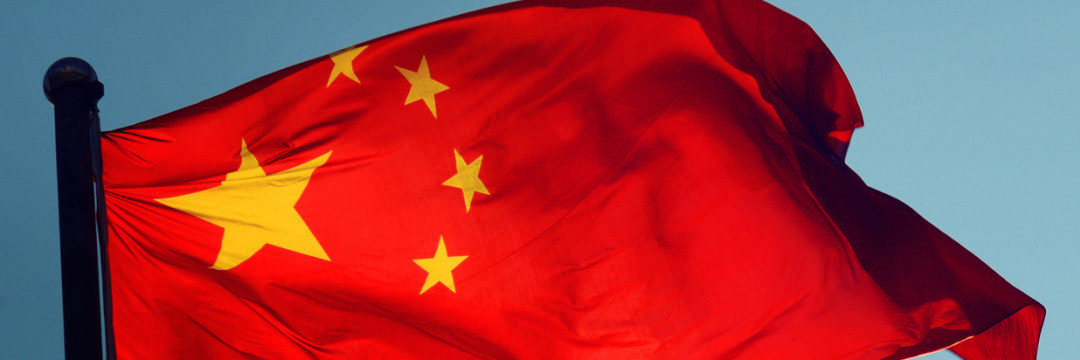 【特技】中国で保護した猫（900匹）を、当局が生埋めにしてしまう！！