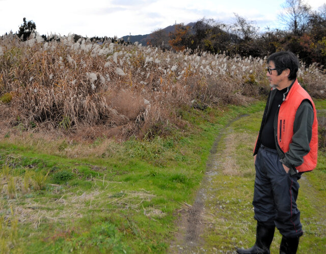 【東京商工リサーチ】コメ農家の倒産・休廃業が過去最多 ～ コメ作りの「あきらめ」、さらに増加も ～