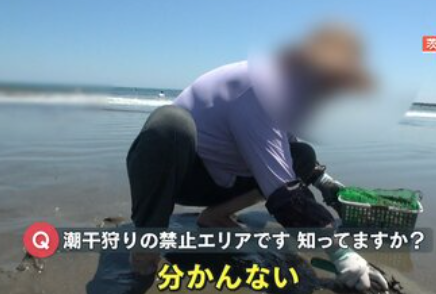 5月、中国人によるアサリの密漁が始まる。SNSで潮干狩りの攻略法を話し合う