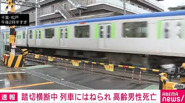 杖をつき渡り切る前に列車に轢かれる