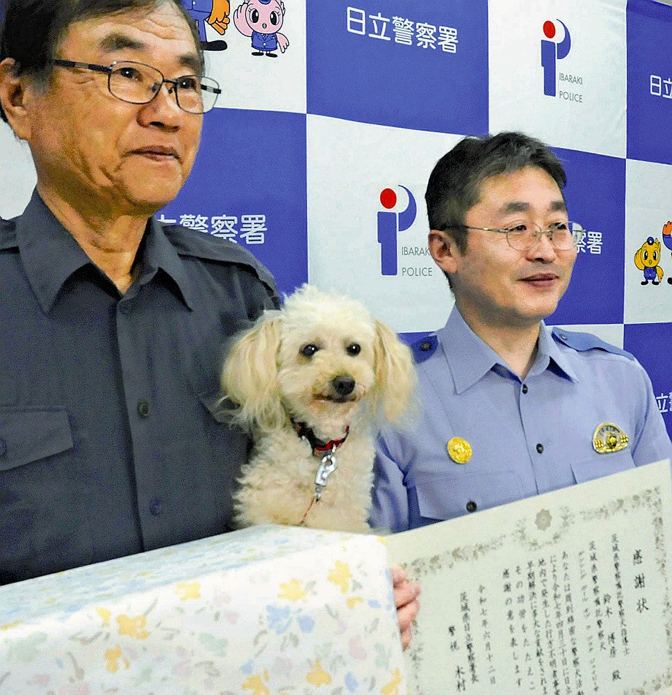 行方不明者発見のトイプードル警察犬に感謝状　日立署