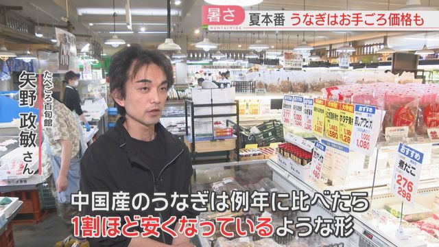夏バテ予防に人気の「うなぎ」 今年ははお手ごろ価格　中国産特大サイズが1580円