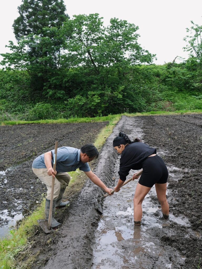 【モデル】ローラが裸足＆短パンで田植え「ご先祖様達が喜んでくれている」新潟の祖父の水田継承、無農薬で