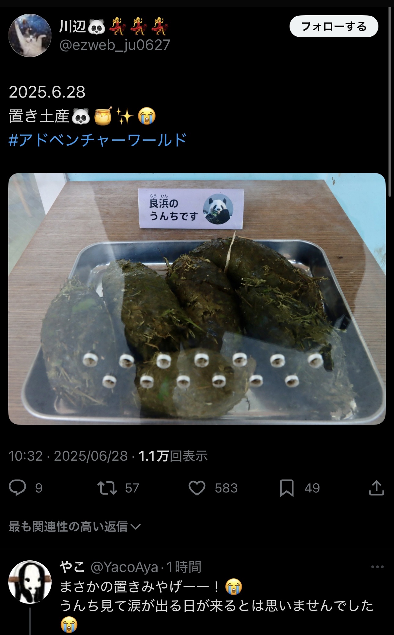日本人、残されたパンダのうんちを見て泣く
