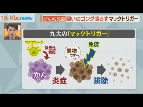 九州大の学生が開発した｢マックトリガー｣革新的な癌治療　医療利権に絶対潰されると話題に