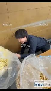 【映画館】ポップコーンの袋にダイブ動画拡散、映画館スタッフか　109シネマズが「不適切動画」で謝罪