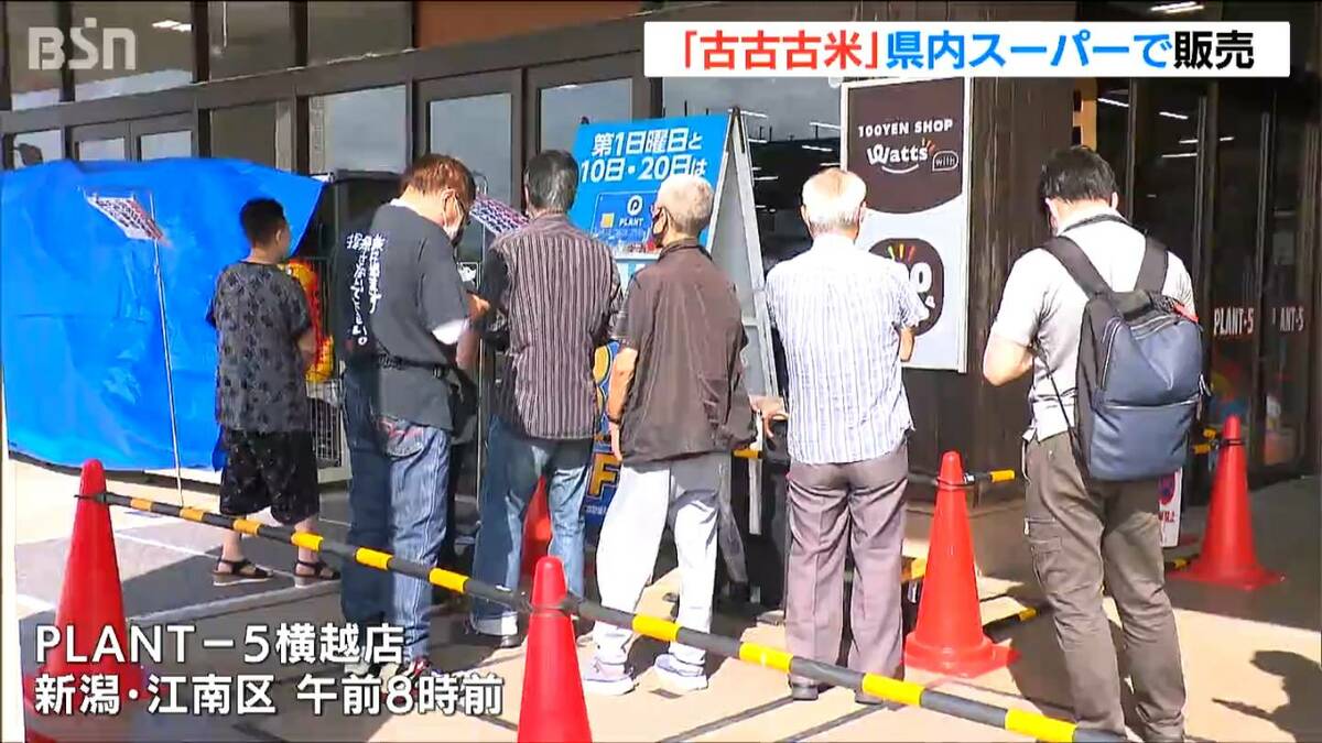 【備蓄米】先頭の男性は「夜中の12時から…」コメどころ新潟でも"古古古米"に長い列