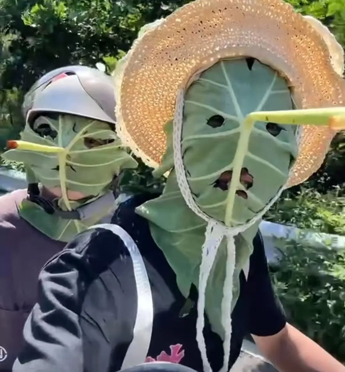 中国の若者が作った「蓮の葉マスク」が話題に…「リサイクル可能で効果も良い」