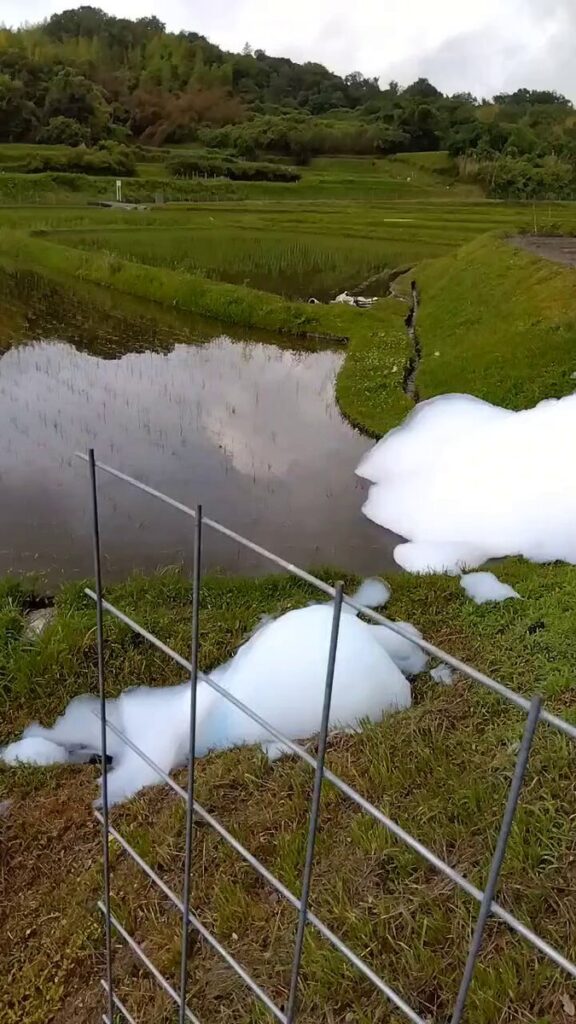【奈良】生駒市で川が青く変色 使用控えるよう注意呼びかけ