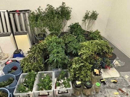 「大麻のような匂いがする」近くの人からの通報で発覚 大麻所持の疑いで逮捕された男2人を再逮捕 営利目的で栽培したか 愛知