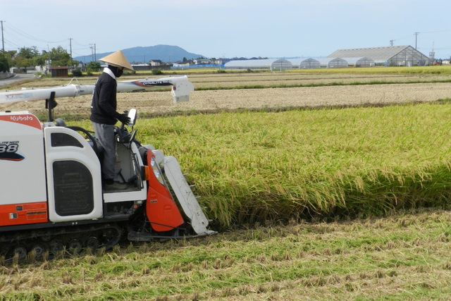 【コメ】５kg2000円のコメ価格は適正なのか？今年の秋、離農を決断する農家が増える可能性…分かってほしい農業現場の本当の姿