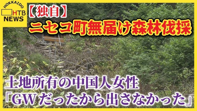 【ニセコ町無届け森林伐採】土地所有の中国人女性「GWだったから出さなかった」 町「顛末書の提出を」