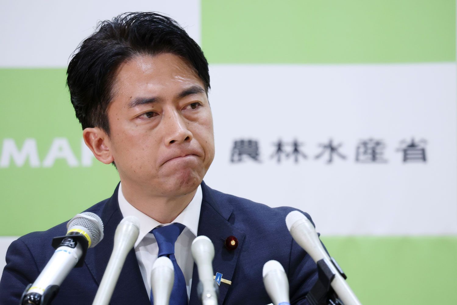 【文春】日本のコメ問題は「自作自演」だった…小泉進次郎氏が“ヨイショ”される裏で見えた自民党の思惑とは