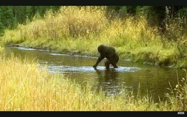 【東スポ】米ニューハンプシャー州の小川でビッグフットらしき生き物が撮影される