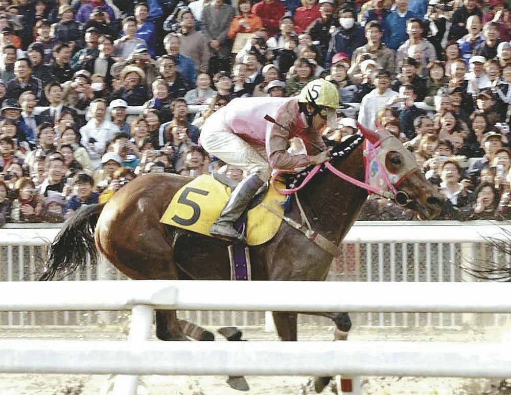 【競馬】ハルウララ２９歳のいま、悠々自適の余生は「勝ち組」