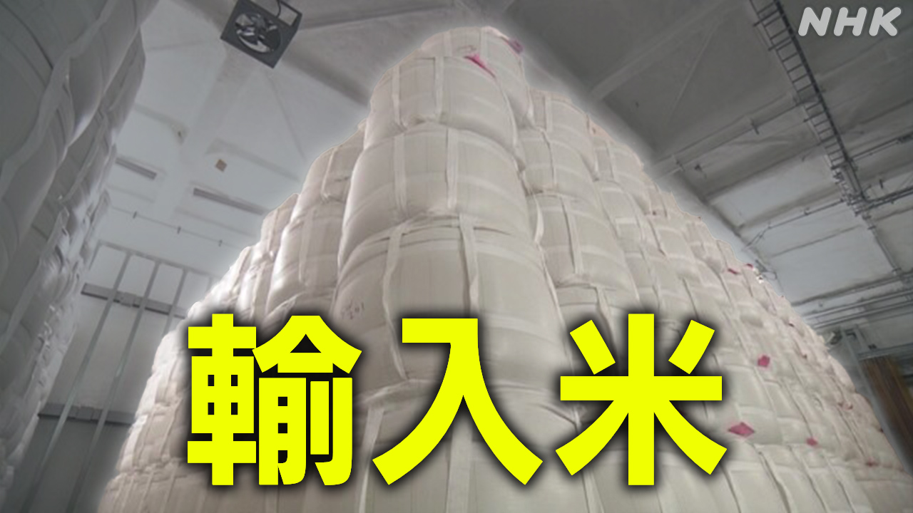 【農林水産省】主食用の政府輸入米 前倒しの入札で3万トンすべて落札