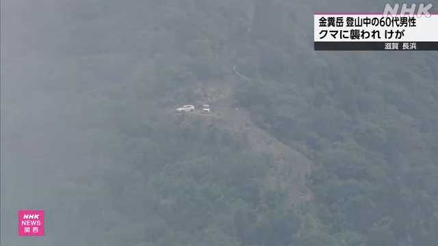 【（・(ｪ)・）】金糞岳を登山中に６０代男性がクマに襲われけが 滋賀 長浜