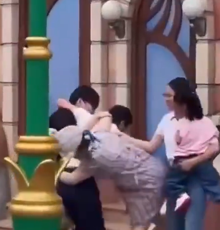 上海ディズニーランドで発狂する中国人さん達