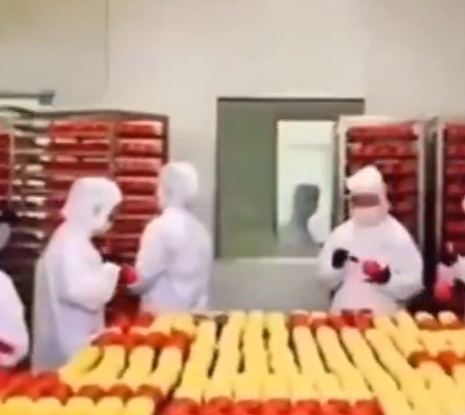 中国のりんご工場