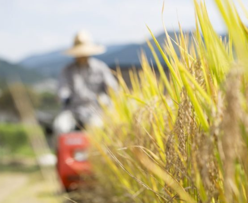 農家「JAとの契約反故にして商社に出荷したら違約金取られました。JA許せない」