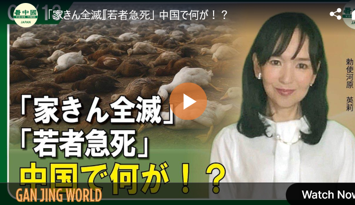 【家きん全滅・若者急死】中国各地で鳥インフルエンザがまん延か！？