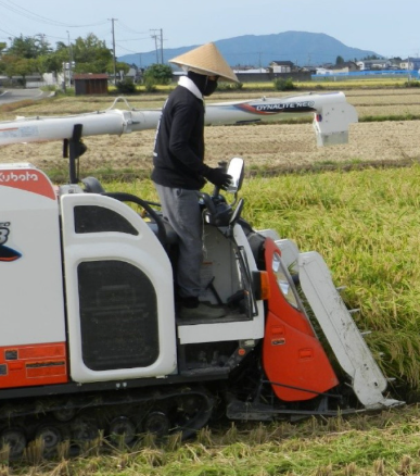 【新潟県で約200年の歴史を持つ農家】「政府の政策に対し多くの農家は不満を感じている、このままでは多くの農家は離農せざるを得ない、コメ騒動は政府の計画が地球温暖化というリスクを加味してこなかった結果だ」